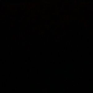 Meet your Posher, Naomi